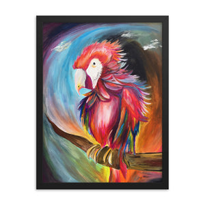 Framed Red Parrot Print