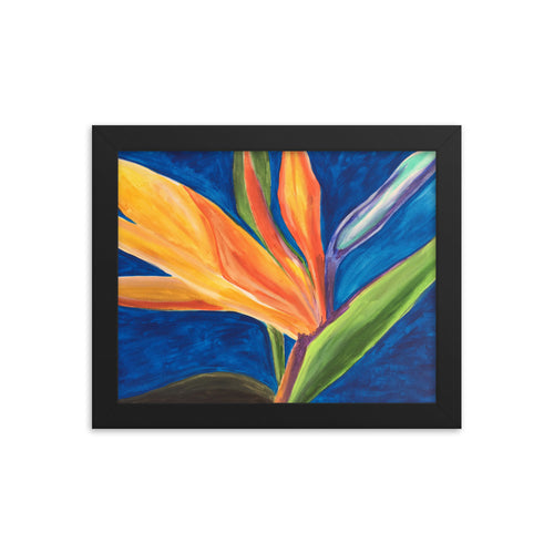 Framed Bird of Paradise #2