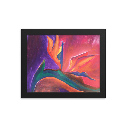 Framed Bird of Paradise Print